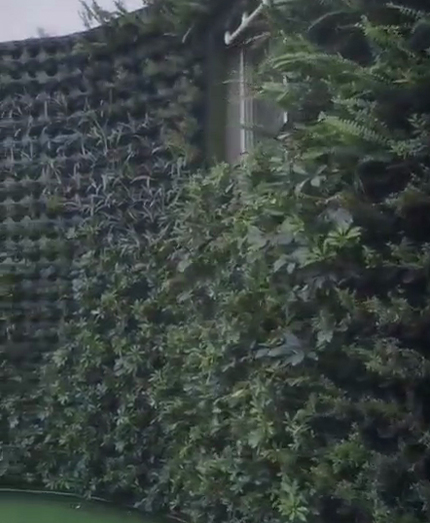 重慶師范大學(xué)附屬實(shí)驗(yàn)小學(xué)垂直植物墻