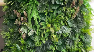 重慶植物景觀包含哪些植物